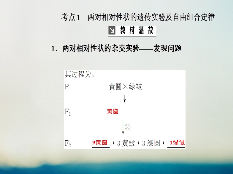 2019版高考生物总复习第五单元遗传定律和伴性遗传第2讲孟德尔豌豆杂交实验二课件.ppt_第3页