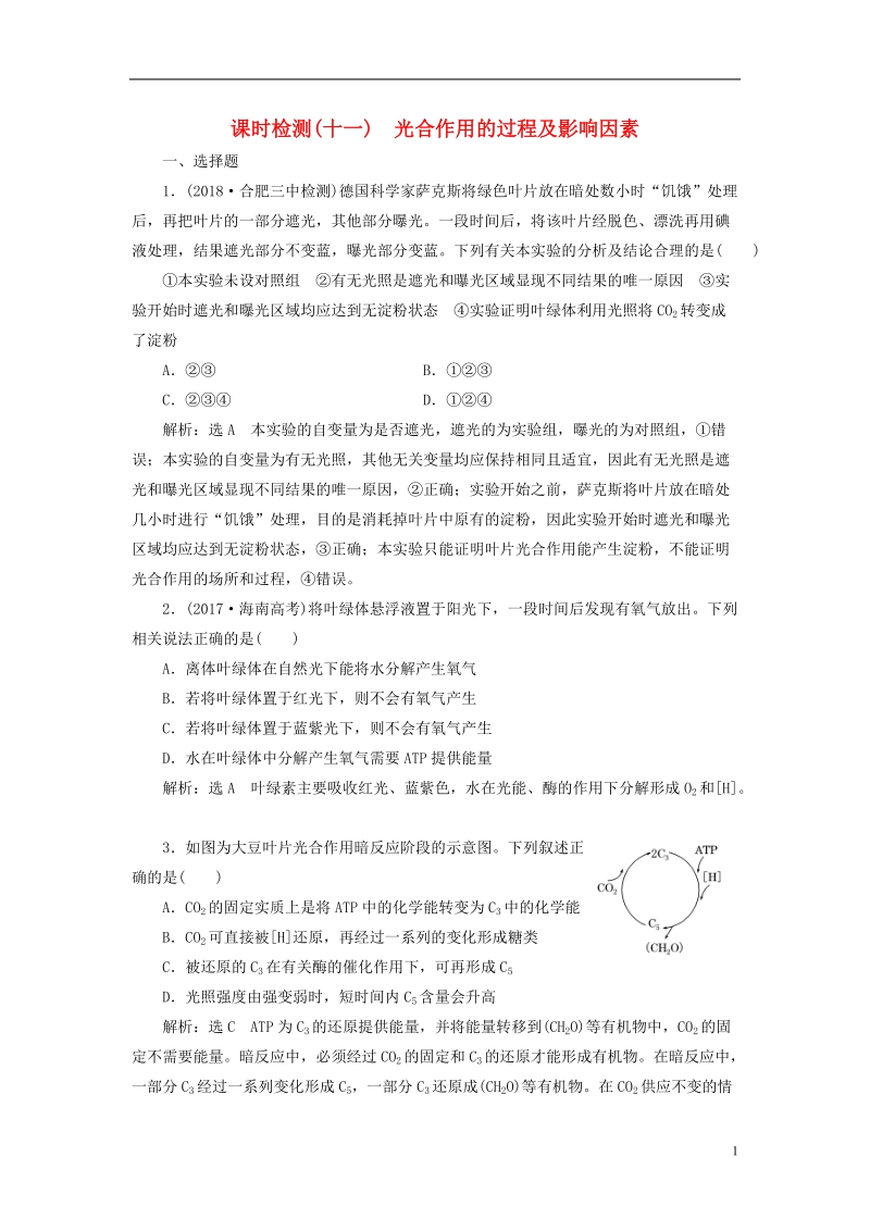 （全国通用版）2019版高考生物一轮复习 第1部分 分子与细胞 第三单元 细胞的能量供应和利用 课时检测（十一）光合作用的过程及影响因素.doc_第1页