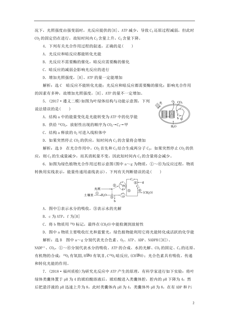 （全国通用版）2019版高考生物一轮复习 第1部分 分子与细胞 第三单元 细胞的能量供应和利用 课时检测（十一）光合作用的过程及影响因素.doc_第2页