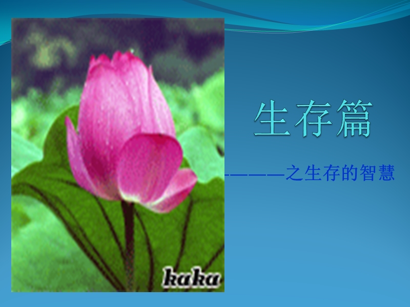 new 生存智慧.ppt_第1页