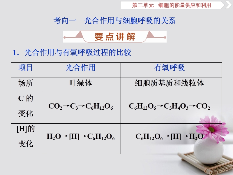 2019届高考生物总复习 第三单元 细胞的能量供应和利用 加强提升课（一）光合作用与呼吸作用之间的关系及其实验探究课件 新人教版.ppt_第2页