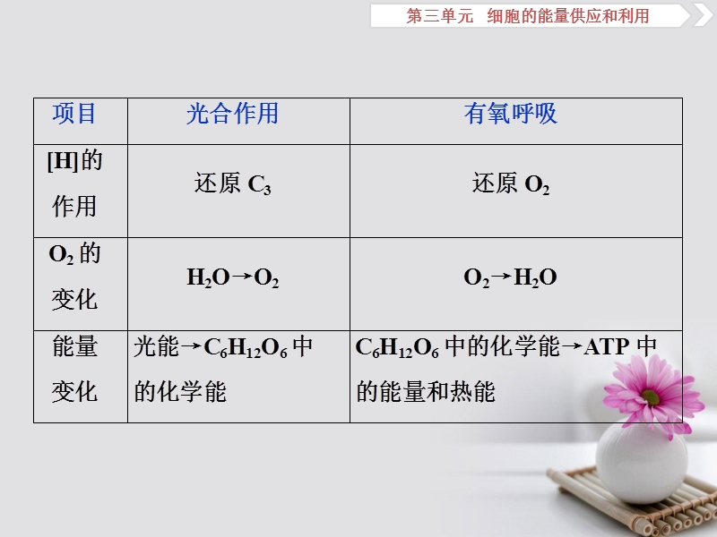 2019届高考生物总复习 第三单元 细胞的能量供应和利用 加强提升课（一）光合作用与呼吸作用之间的关系及其实验探究课件 新人教版.ppt_第3页