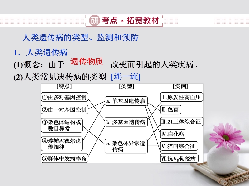 2019届高考生物总复习 第六单元 遗传的基本规律和伴性遗传 第21讲 人类遗传病课件 新人教版.ppt_第3页