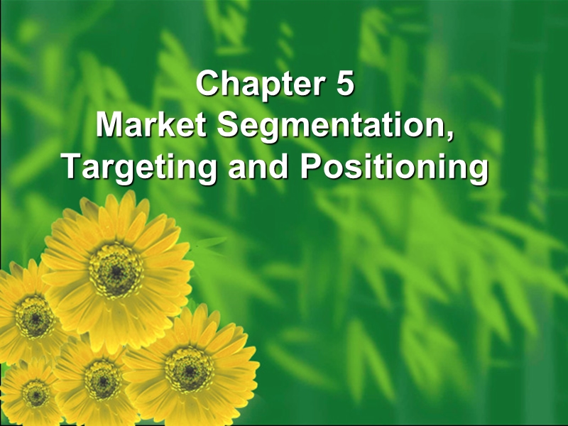 市场营销(双语教程)Chapter 5  Segmentation, Targeting and Positioning.ppt_第1页