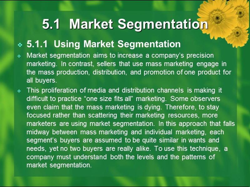 市场营销(双语教程)Chapter 5  Segmentation, Targeting and Positioning.ppt_第2页