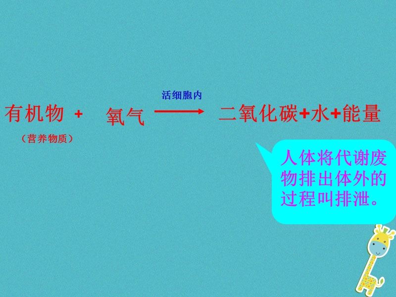 山东省安丘市七年级生物下册 3.4.1尿液的形成和排出课件 （新版）济南版.ppt_第2页