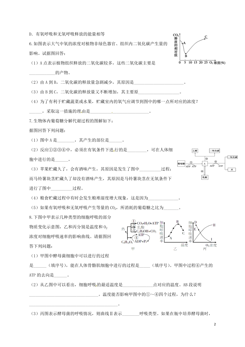 山西省忻州市高中生物 第五章 细胞的能量供应和利用 第三节 atp的主要来源——细胞呼吸2课时测练 新人教版必修1.doc_第2页