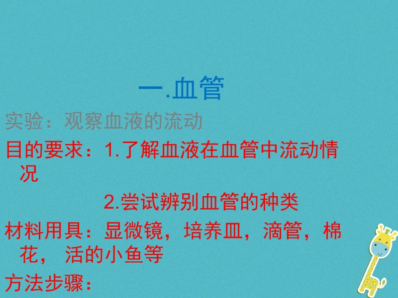 山东省安丘市七年级生物下册 3.3.2物质运输的器官课件 （新版）济南版.ppt_第3页