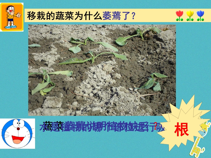 六年级生物下册 3.3.1《水分进入植物体内的途径》课件1 鲁科版五四制.ppt_第3页