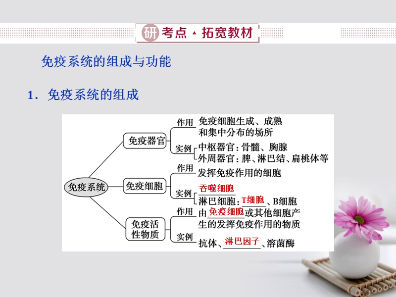 2019届高考生物总复习 第八单元 生命活动的调节 第28讲 免疫调节课件 新人教版.ppt_第3页