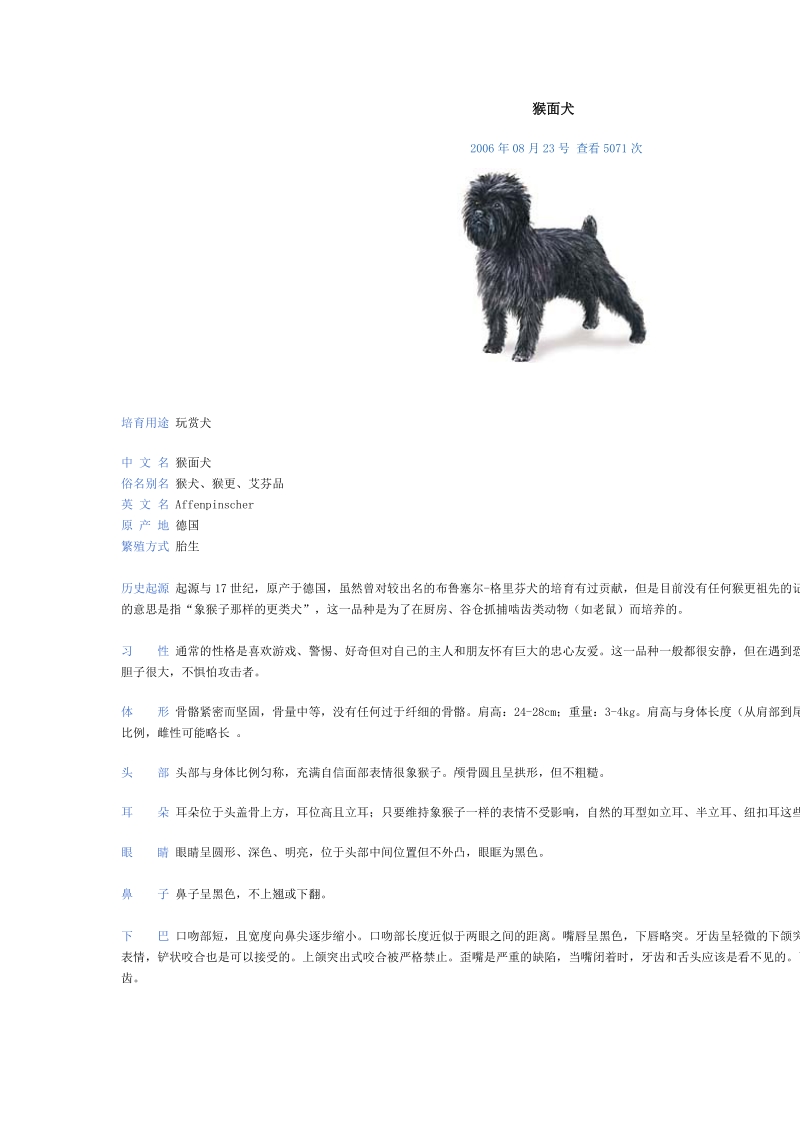 猴面犬.doc_第1页