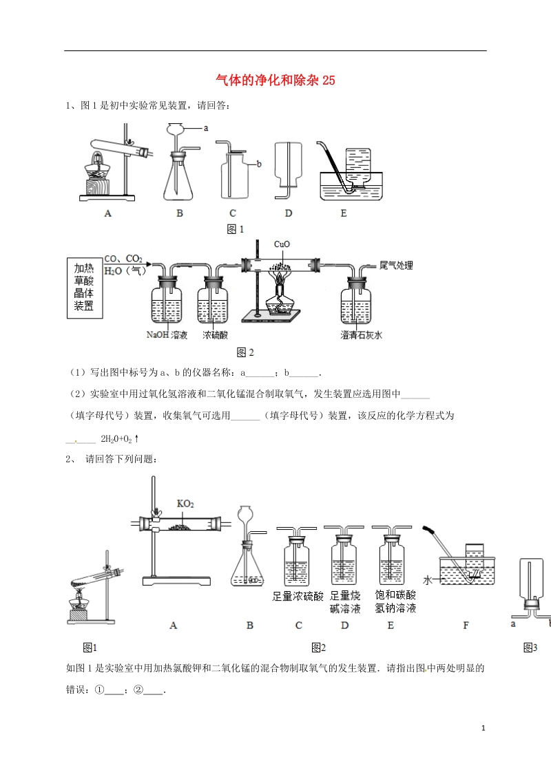 吉林省吉林市中考化学复习练习 气体的净化和除杂25（无答案） 新人教版.doc_第1页