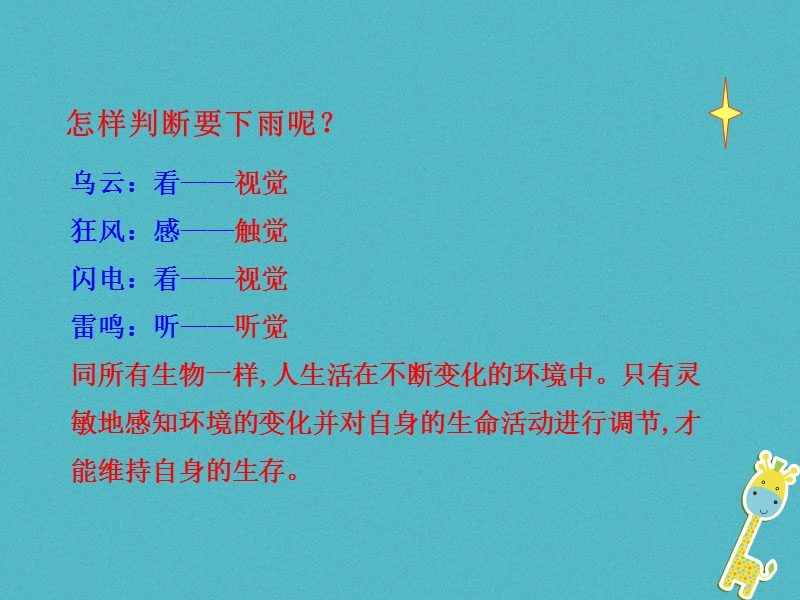 山东省安丘市七年级生物下册 3.5.4人体对周围世界的感知课件 （新版）济南版.ppt_第3页