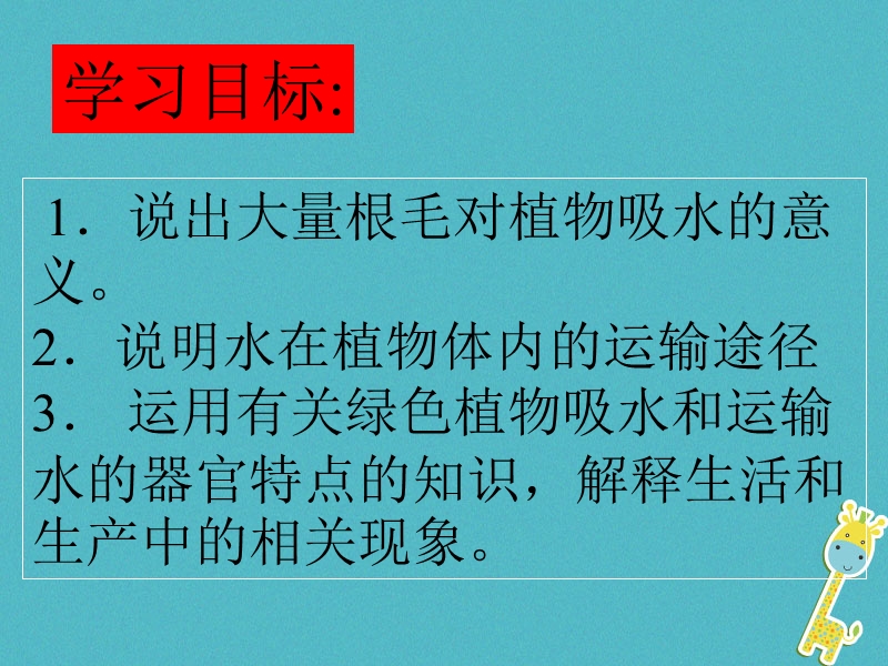 六年级生物下册 3.3.1《水分进入植物体内的途径》课件3 鲁科版五四制.ppt_第3页