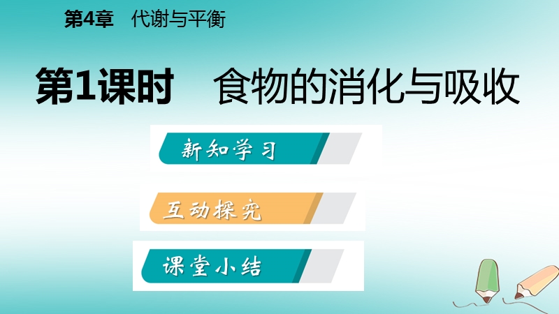 2018年秋九年级科学上册第4章代谢与平衡第2节食物的消化与吸收第1课时食物的消化与吸收课件新版浙教版.ppt_第2页