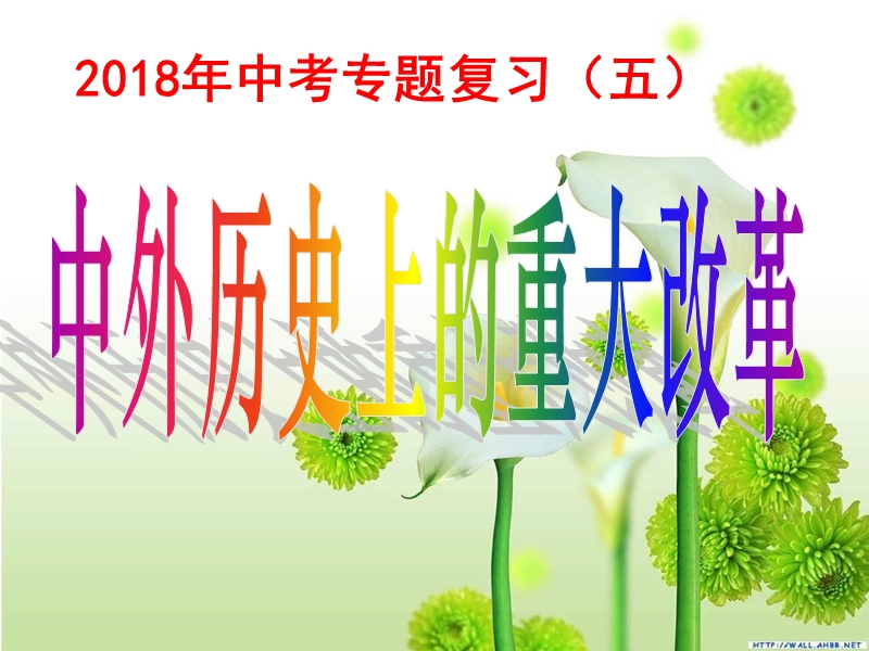 2018年中考历史专题复习（五）中外历史上的重大改革课件 新人教版.ppt_第1页