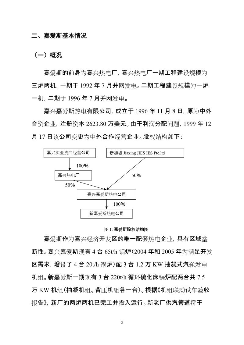 斯热电有限公司初步可行性分析报告.doc_第3页