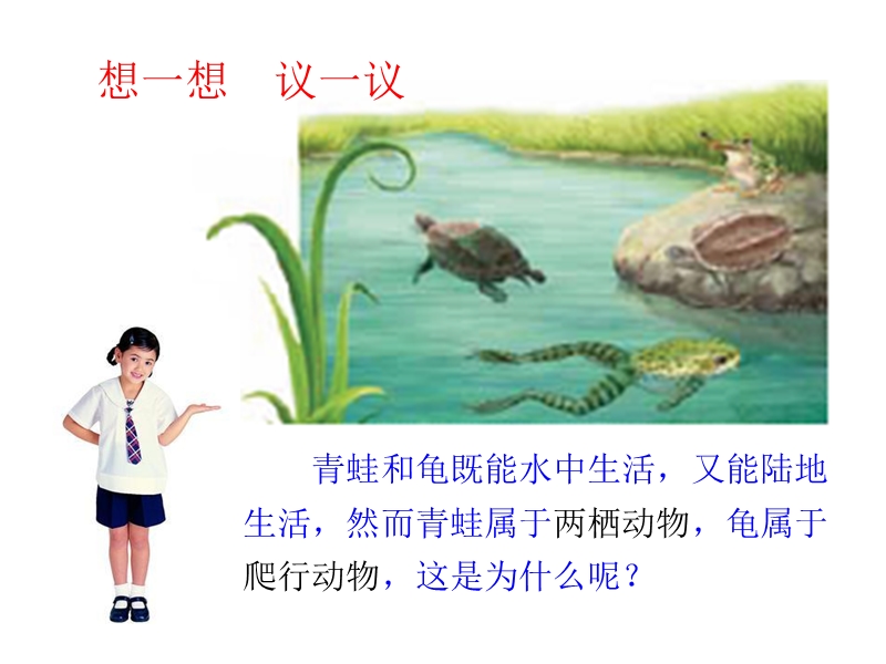 爬行动物和两栖动物.ppt_第3页