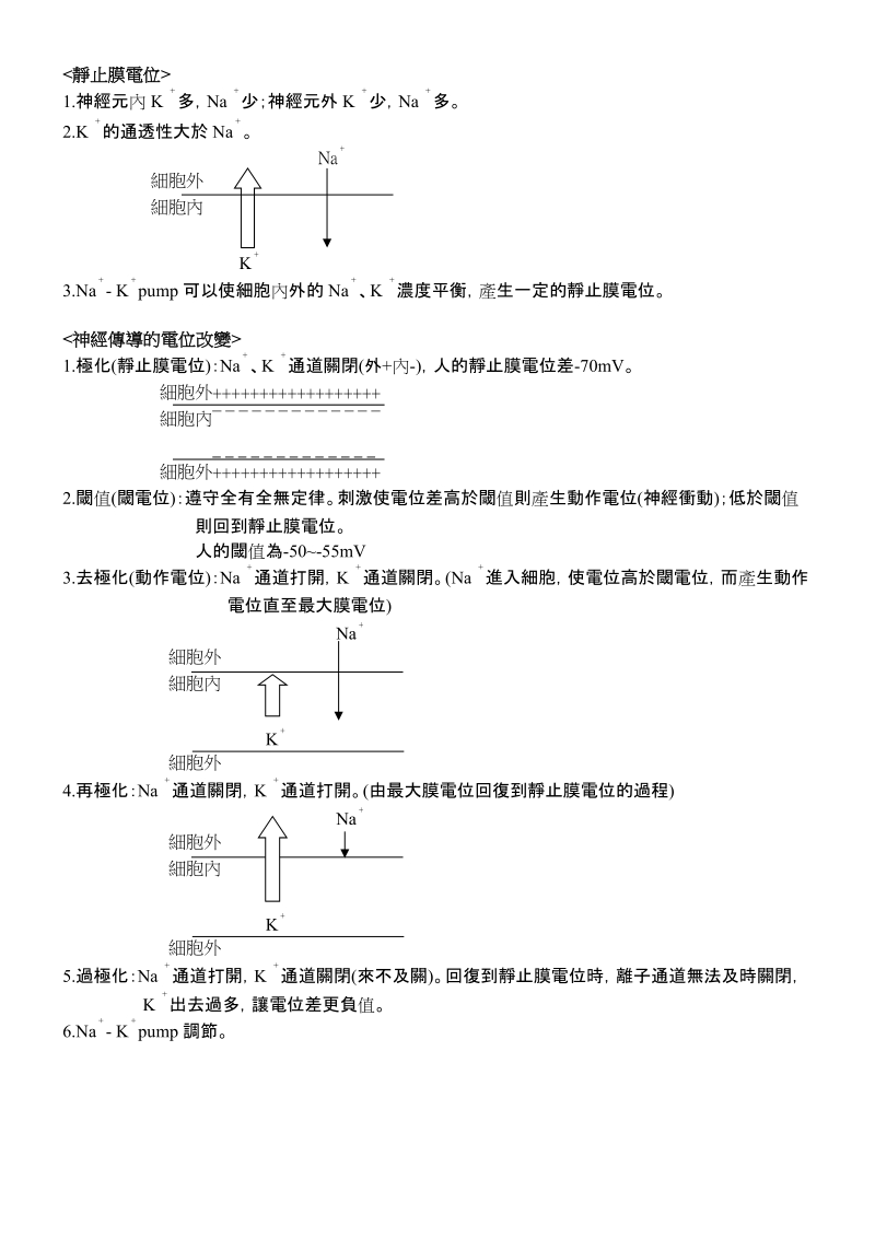 靜止膜電位.doc_第1页