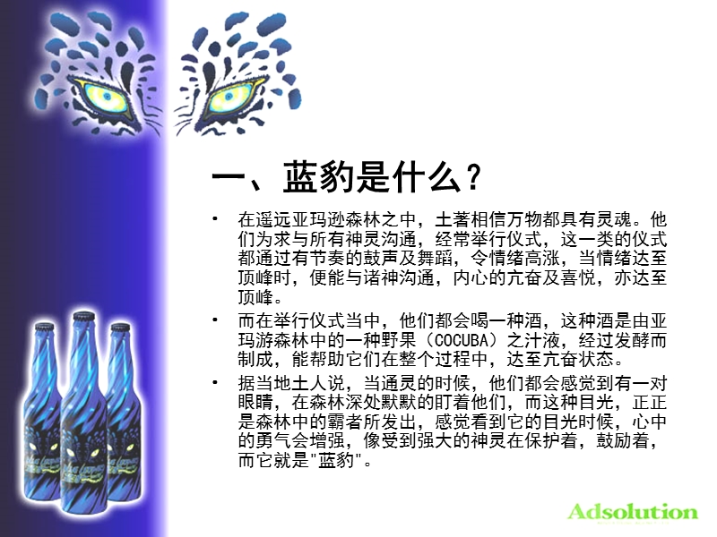 蓝豹汽酒开发之可行性报告.PPT_第2页