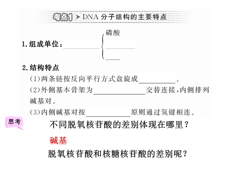 dna分子的结构复制.ppt_第2页