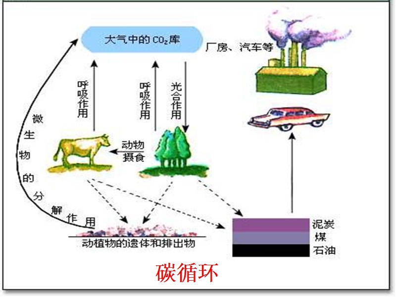 石灰的三变.ppt_第2页