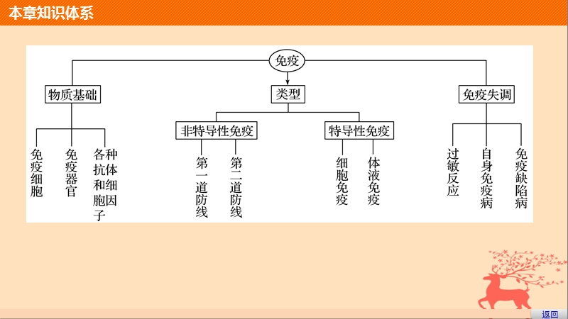 2018-2019版高中生物 第一单元 生物个体的稳态与调节 第四章 人体免疫系统与稳态章末整合课件 中图版必修3.ppt_第3页