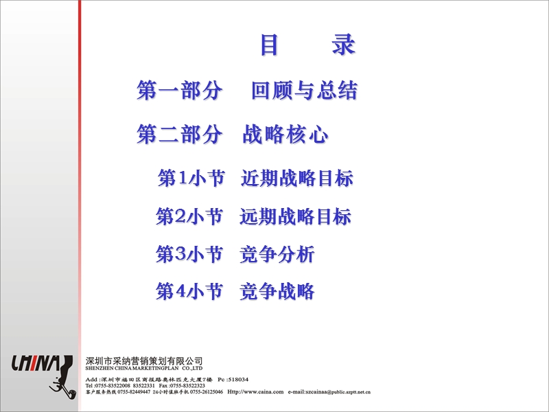 CAINA肖尔布拉克营销战略规划.ppt_第2页