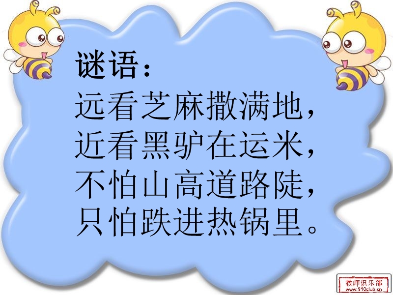 我们周围的动物.ppt_第2页