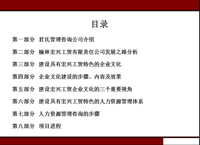 工贸有限公司企业文化及人力资源体系咨询项目建议书.ppt_第2页