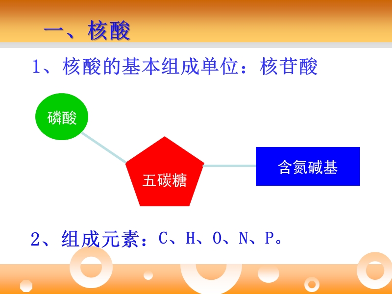 必修一第2章第3节 遗传信息携带者——核酸.ppt_第3页