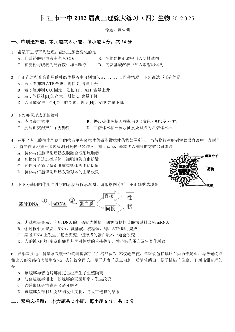 2012.3.25阳江市一中高三理综大练习生物部分(四).doc_第1页