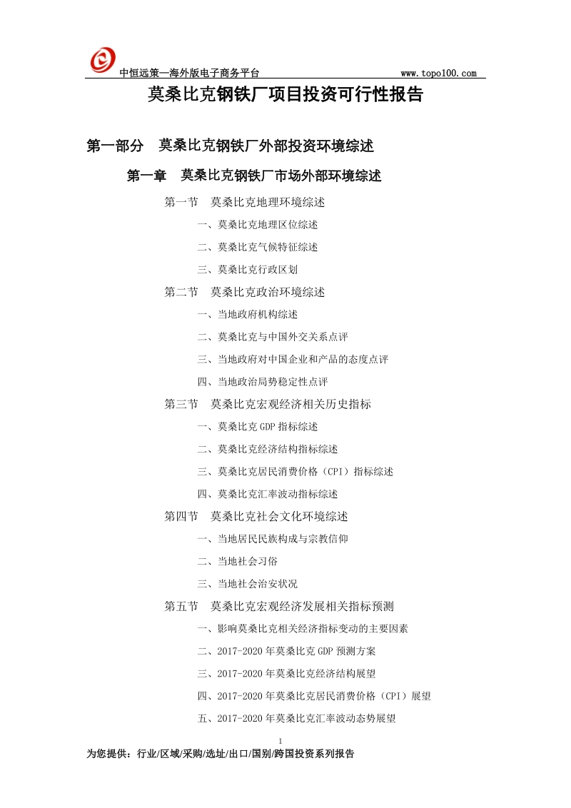 莫桑比克钢铁厂项目投资可行性报告.doc_第1页