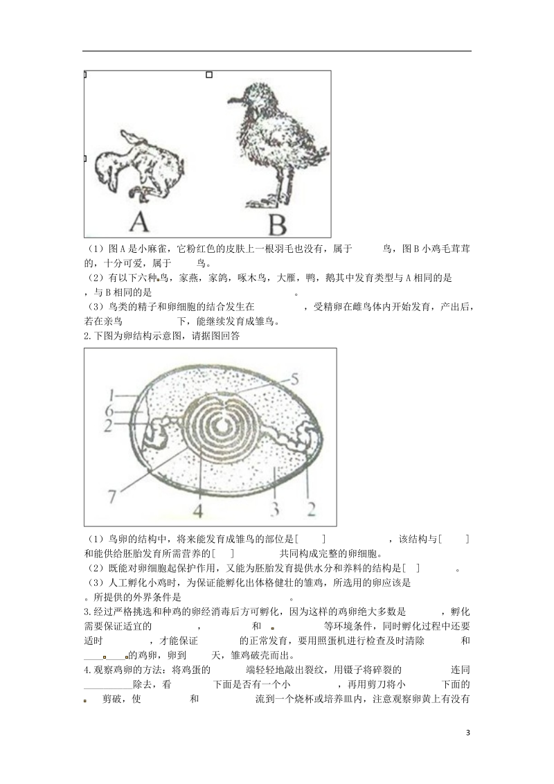 河南省永城市八年级生物下册 7.1.4《鸟的生殖和发育》课后巩固（无答案）（新版）新人教版.doc_第3页