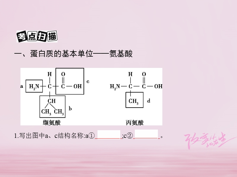 （北京专用）2019版高考生物一轮复习 第1单元 细胞的分子组成与结构 第3讲 蛋白质、核酸、糖类和脂质课件.ppt_第3页