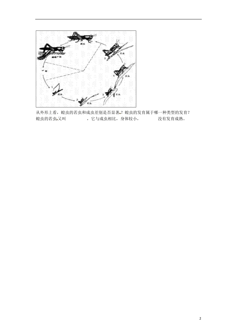 河南省永城市八年级生物下册 7.1.2《昆虫的生殖和发育》随堂测试（无答案）（新版）新人教版.doc_第2页