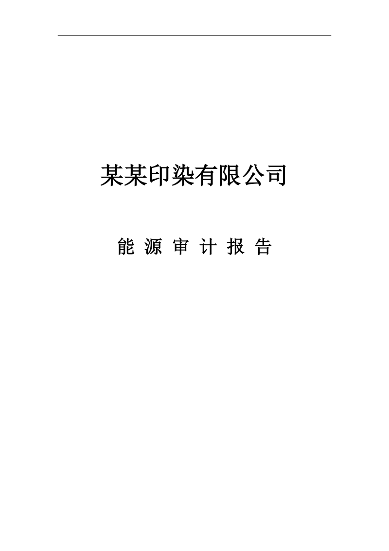 某某印染有限公司能源审计报告.doc_第1页