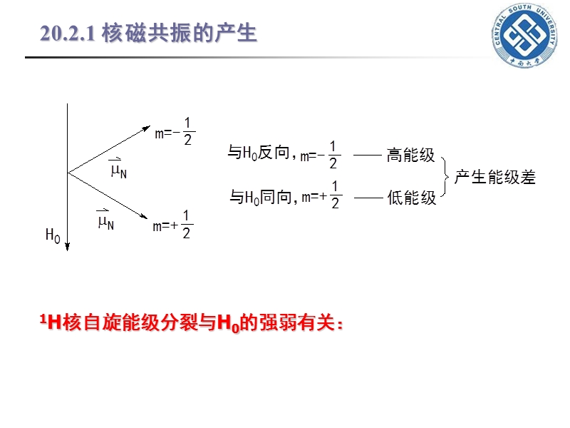 20-2核磁共振.ppt_第3页