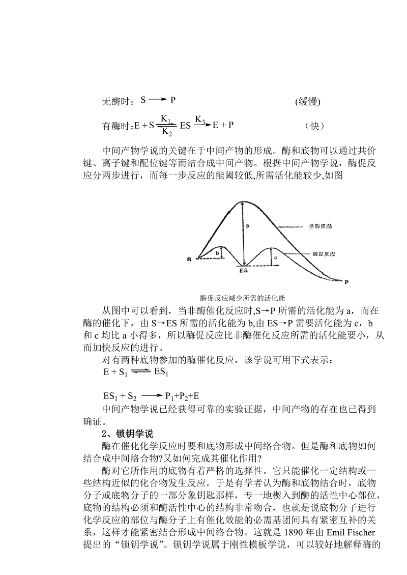 酶的作用机理.doc_第2页