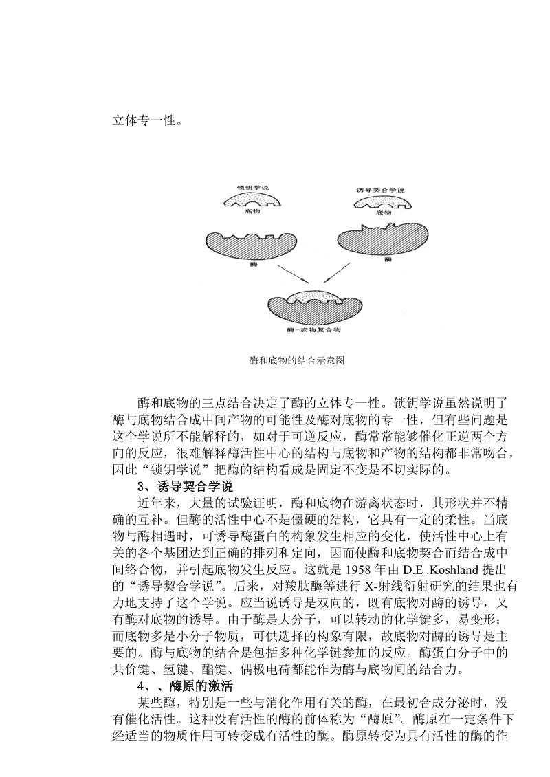 酶的作用机理.doc_第3页