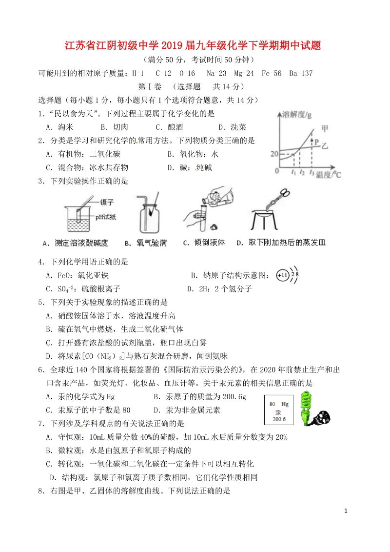 江苏省江阴初级中学2019届九年级化学下学期期中试题.doc_第1页