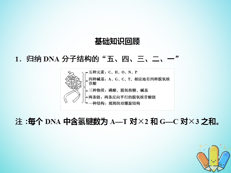 2019高考生物总复习 精彩三十三天（八）遗传的分子基础1课件.ppt_第2页