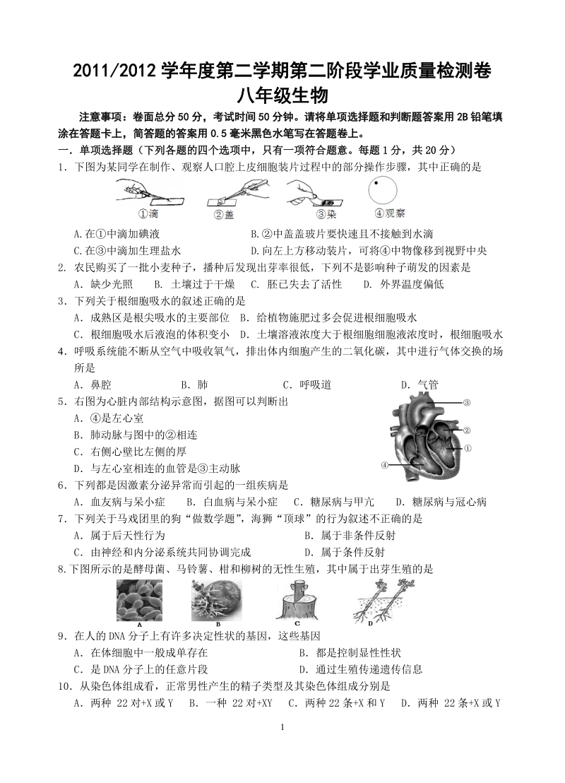 2012玄武白下二模.doc_第1页