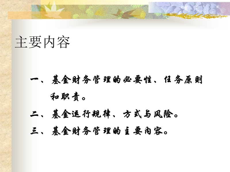 新农合财务管理讲解-游在农.ppt_第2页