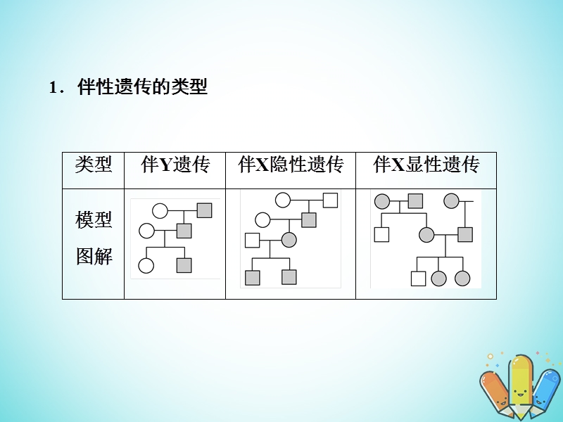 2019高考生物总复习 精彩三十三天（六）遗传的基本规律与伴性遗传（含人类的遗传病）课件.ppt_第3页