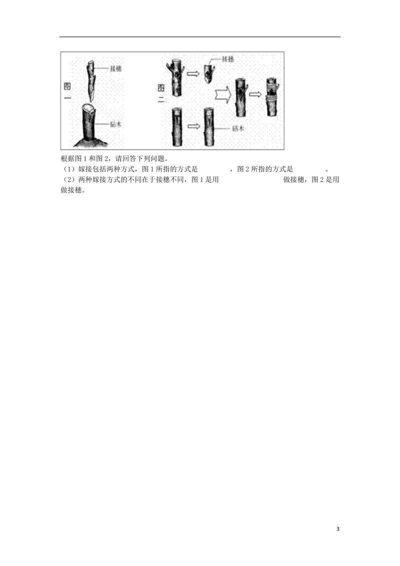 河南省永城市八年级生物下册 7.1.1《植物的生殖》能力提升（无答案）（新版）新人教版.doc_第3页