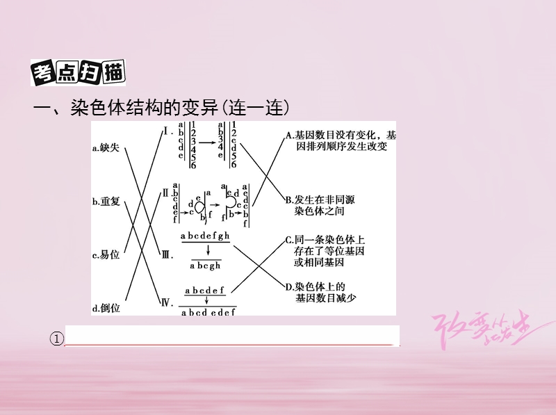 （北京专用）2019版高考生物一轮复习 第6单元 变异与进化 第19讲 染色体变异与育种课件.ppt_第3页