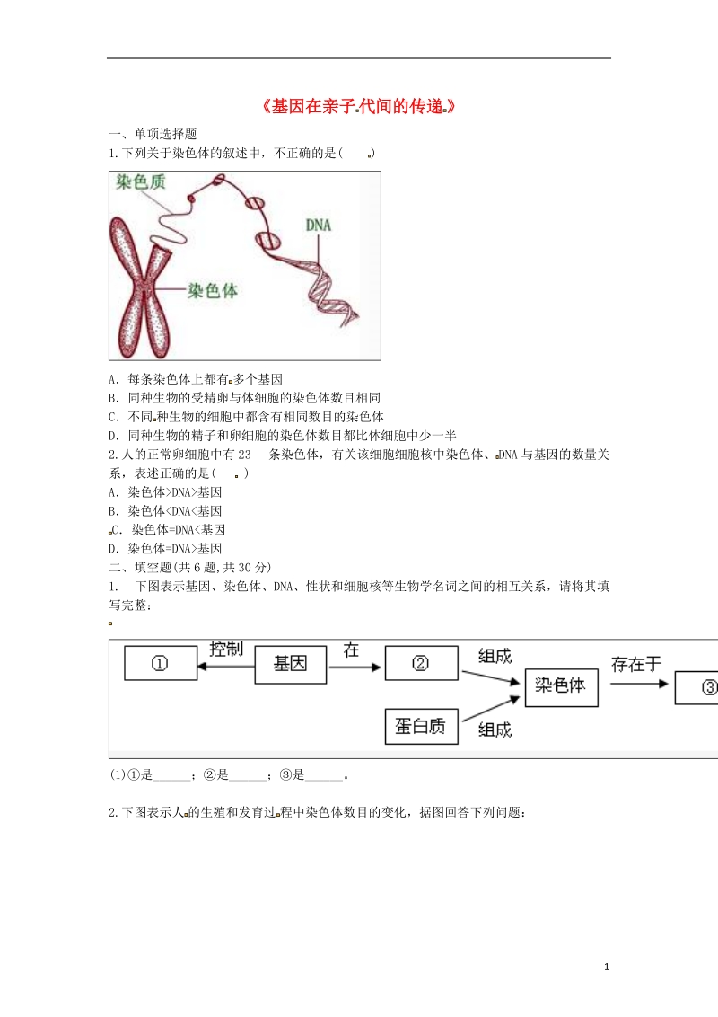 河南省永城市八年级生物下册 7.2.2《基因在亲子代间的传递》综合训练（无答案）（新版）新人教版.doc_第1页