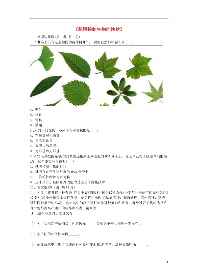 河南省永城市八年级生物下册 7.2.1《基因控制生物的性状》综合训练（无答案）（新版）新人教版.doc_第1页