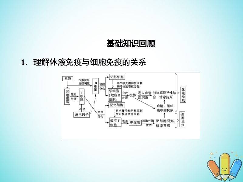 2019高考生物总复习 精彩三十三天（二十四）人体内环境与稳态2课件.ppt_第2页